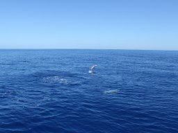 Visite de Célyne et Faf